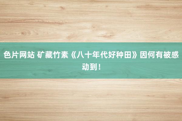 色片网站 矿藏竹素《八十年代好种田》因何有被感动到！