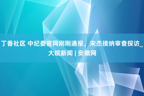 丁香社区 中纪委官网刚刚通报，宋杰接纳审查探访_大皖新闻 | 安徽网