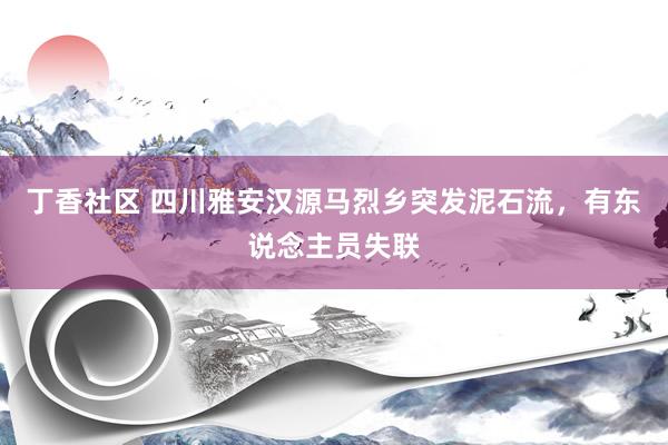 丁香社区 四川雅安汉源马烈乡突发泥石流，有东说念主员失联