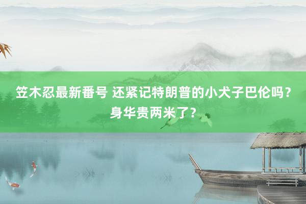 笠木忍最新番号 还紧记特朗普的小犬子巴伦吗？身华贵两米了？