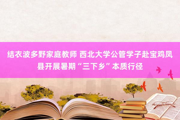 结衣波多野家庭教师 西北大学公管学子赴宝鸡凤县开展暑期“三下乡”本质行径