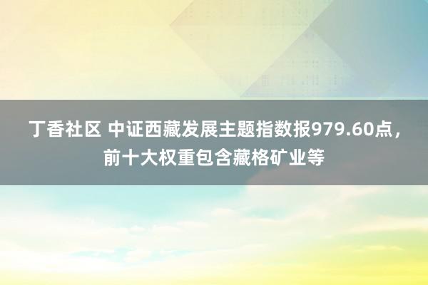 丁香社区 中证西藏发展主题指数报979.60点，前十大权重包含藏格矿业等