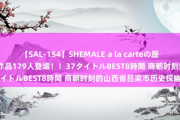 【SAL-154】SHEMALE a la carteの歴史 2 2011～2013 国内作品179人登場！！37タイトルBEST8時間 商朝时刻的山西省吕梁市历史探幽