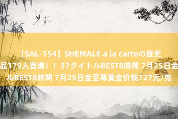 【SAL-154】SHEMALE a la carteの歴史 2 2011～2013 国内作品179人登場！！37タイトルBEST8時間 7月25日金至尊黄金价钱727元/克