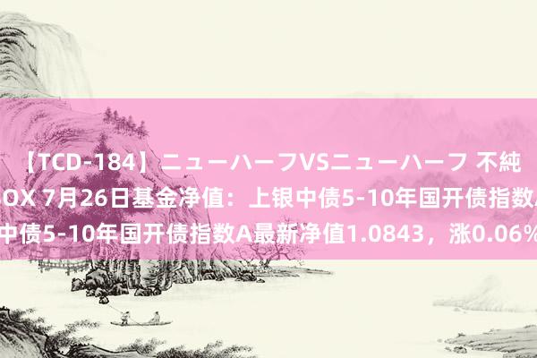 【TCD-184】ニューハーフVSニューハーフ 不純同性肛遊ベストセラーBOX 7月26日基金净值：上银中债5-10年国开债指数A最新净值1.0843，涨0.06%