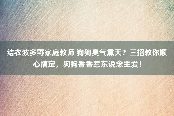 结衣波多野家庭教师 狗狗臭气熏天？三招教你顺心搞定，狗狗香香惹东说念主爱！