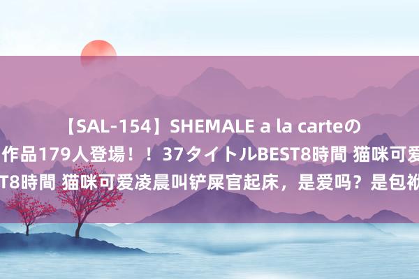 【SAL-154】SHEMALE a la carteの歴史 2 2011～2013 国内作品179人登場！！37タイトルBEST8時間 猫咪可爱凌晨叫铲屎官起床，是爱吗？是包袱吗？仍是……