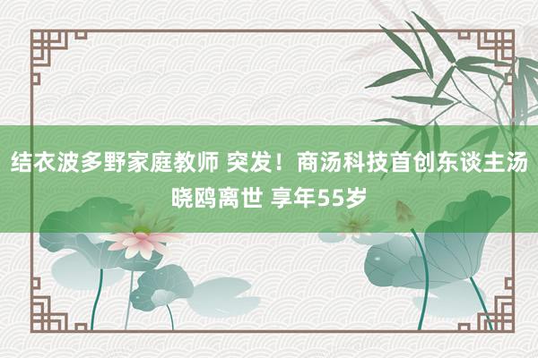 结衣波多野家庭教师 突发！商汤科技首创东谈主汤晓鸥离世 享年55岁