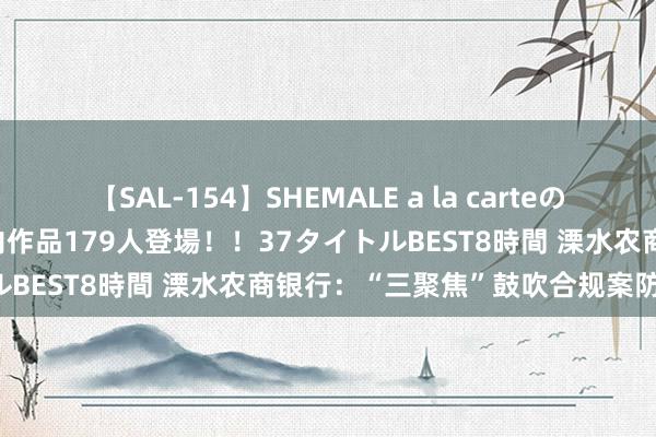 【SAL-154】SHEMALE a la carteの歴史 2 2011～2013 国内作品179人登場！！37タイトルBEST8時間 溧水农商银行：“三聚焦”鼓吹合规案防走深走实