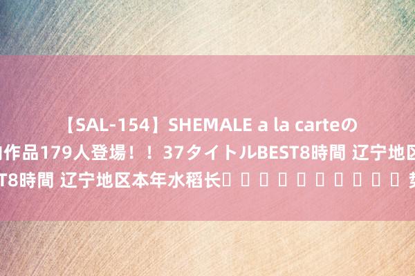 【SAL-154】SHEMALE a la carteの歴史 2 2011～2013 国内作品179人登場！！37タイトルBEST8時間 辽宁地区本年水稻长​​​​​​​​​​势雅致丰充在望