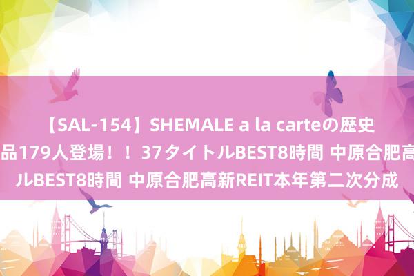 【SAL-154】SHEMALE a la carteの歴史 2 2011～2013 国内作品179人登場！！37タイトルBEST8時間 中原合肥高新REIT本年第二次分成