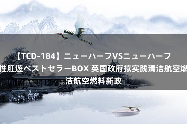 【TCD-184】ニューハーフVSニューハーフ 不純同性肛遊ベストセラーBOX 英国政府拟实践清洁航空燃料新政