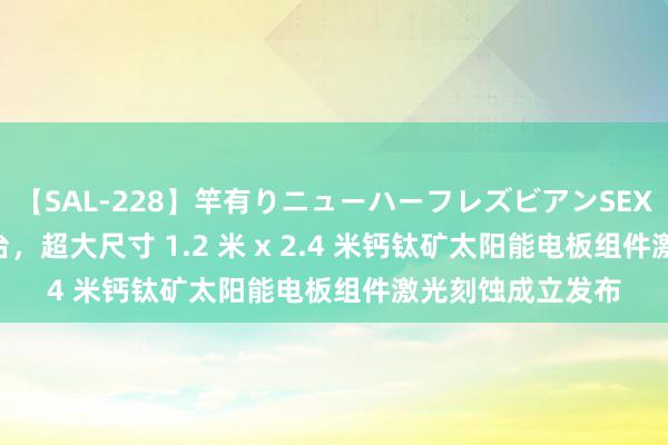 【SAL-228】竿有りニューハーフレズビアンSEX1125分 国内首台，超大尺寸 1.2 米 x 2.4 米钙钛矿太阳能电板组件激光刻蚀成立发布