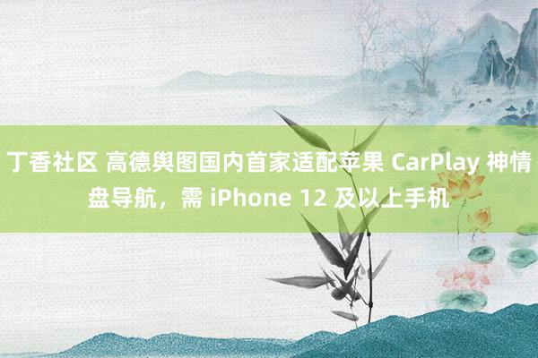 丁香社区 高德舆图国内首家适配苹果 CarPlay 神情盘导航，需 iPhone 12 及以上手机