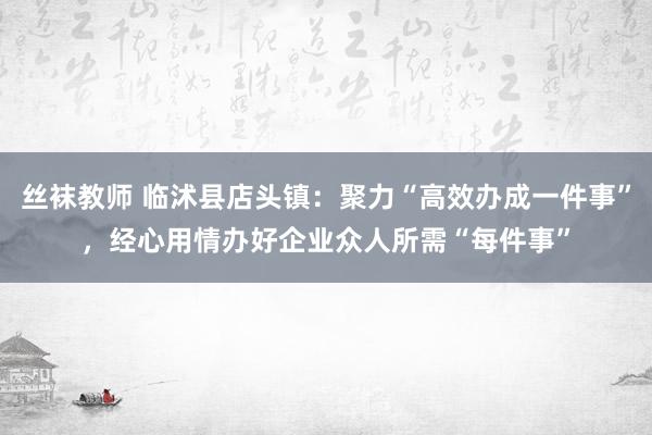 丝袜教师 临沭县店头镇：聚力“高效办成一件事”，经心用情办好企业众人所需“每件事”