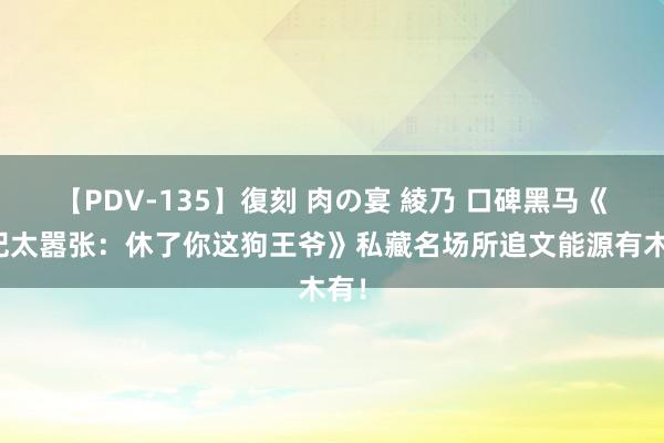 【PDV-135】復刻 肉の宴 綾乃 口碑黑马《邪妃太嚣张：休了你这狗王爷》私藏名场所追文能源有木有！