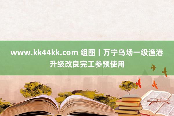 www.kk44kk.com 组图｜万宁乌场一级渔港升级改良完工参预使用