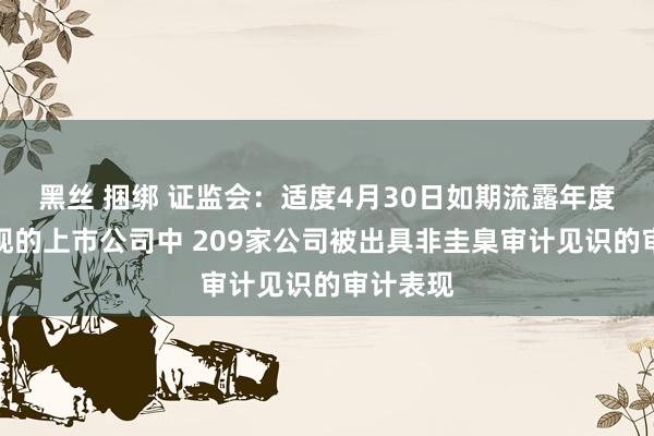 黑丝 捆绑 证监会：适度4月30日如期流露年度财务表现的上市公司中 209家公司被出具非圭臬审计见识的审计表现