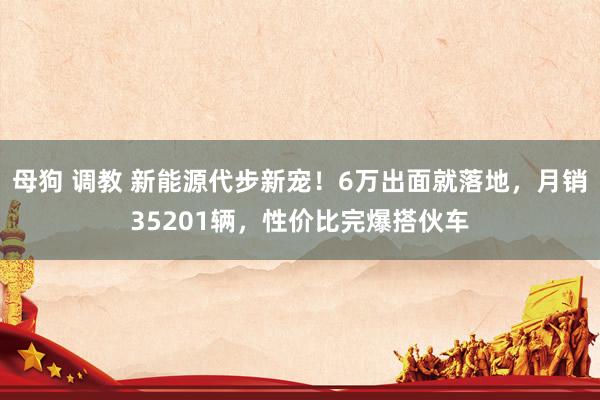 母狗 调教 新能源代步新宠！6万出面就落地，月销35201辆，性价比完爆搭伙车