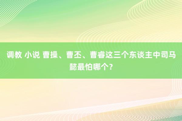 调教 小说 曹操、曹丕、曹睿这三个东谈主中司马懿最怕哪个？