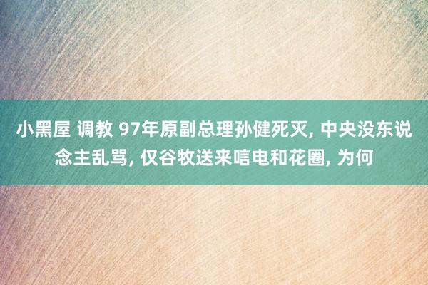 小黑屋 调教 97年原副总理孙健死灭, 中央没东说念主乱骂, 仅谷牧送来唁电和花圈, 为何