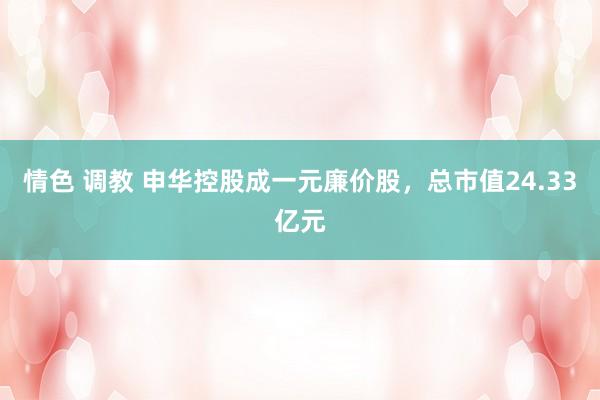 情色 调教 申华控股成一元廉价股，总市值24.33亿元